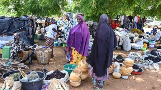 Aide au développement : l'aide publique au développement (APD) connait une baisse de 23,1% en 2025, constate l’OCDE