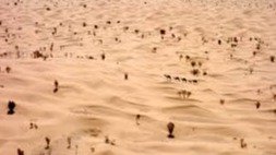 Tunisie/Lutte contre la sécheresse : le 6ième Sommet sur la désertification, Désertif’action, planche sur des solutions innovantes