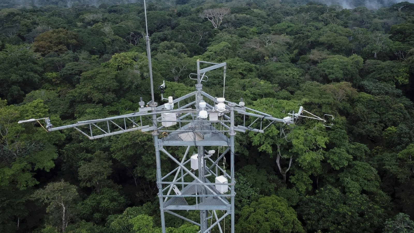 République Démocratique du Congo/Environnement : l’UNESCO élève la réserve forestière de Yangambi au rang de modèle