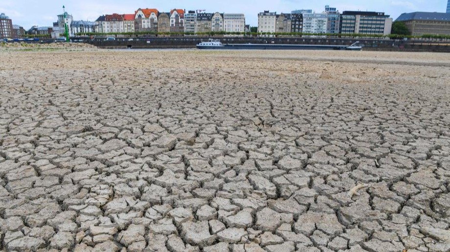 Allemagne/Environnement : la baisse du niveau du Rhin menace le transport fluvial et l’industrie